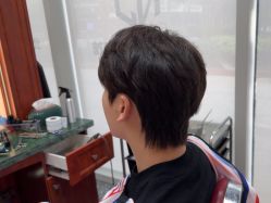 -风生造型