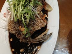 -大胡同天津菜·海肠捞饭·津门皮皮虾锅贴一绝(西姜井店)