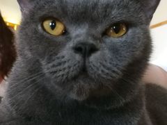 -猫咖时代(中山亭店)