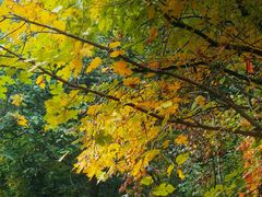 -天津盘山风景名胜区