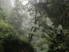 -七仙岭温泉国家森林公园