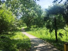 -西溪国家湿地公园