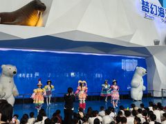 -泉城欧乐堡海洋极地世界