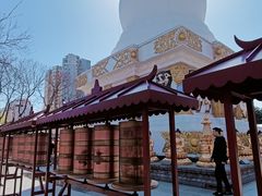 -护国法轮寺