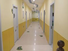 -小问号·科学启蒙·逻辑思维·阅读素养·口才演讲(杨浦合生汇中心)