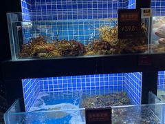 水产区-徐记海鲜(汉城湖|太奥店)