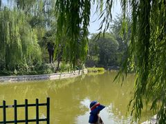 -西安市长乐公园