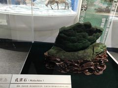 -中国第四纪冰川遗迹陈列馆