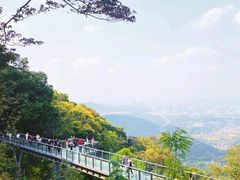 -黄埔油麻山森林公园