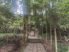-凤栖山
