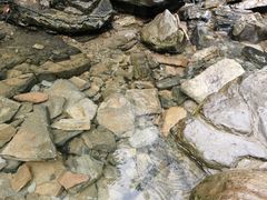 -鹿院坪生态旅游景区
