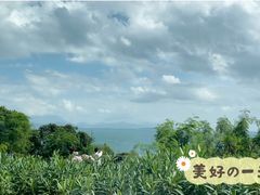 -玫瑰海岸文化旅游度假区