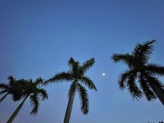 -厦门国家会计学院