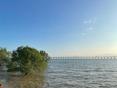 -宝安西湾红树林湿地公园