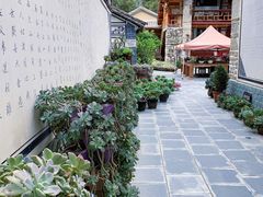 -寂照庵