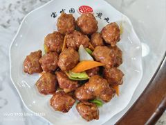 -宝发园名菜馆