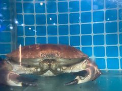 -锦里海景海鲜餐厅.三亚老字号(亚龙湾中心广场店)