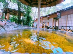 -云涛森林温泉