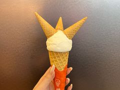 -极拉图·现制冰淇淋(大卫城店)