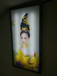 点击看大图 -盘子女人坊(珠海拱北旗舰店)