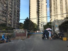 -神奇的香酥鸡蛋灌饼