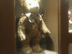 -济州岛泰迪熊博物馆