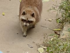 -石家庄市动物园