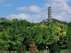 -北坞公园