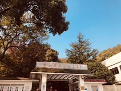 -上海佘山国家森林公园东门地面停车场