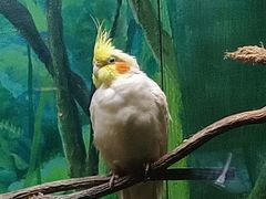 -上海海洋水族馆