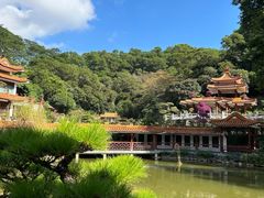 -深圳仙湖植物园