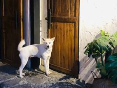 -云里小坐·小院里·团建·宴请·下午茶(三圣乡店)