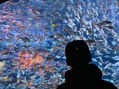 -成都浩海立方海洋公园