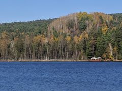 -五营红松林海景区