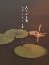 -水八仙生态园