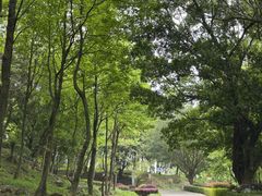 -广州市石门国家森林公园
