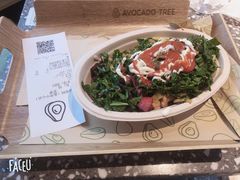 -油梨树AVOCADO TREE(嘉里中心店)