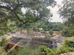 -杨家堂村