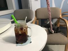 -喵的天空名猫咖啡馆·撸猫·猫舍·用品
