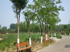 -东郊湿地公园