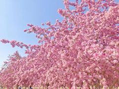 -永定河休闲森林公园