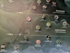-四川大学博物馆