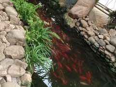 -北戴河集发农业梦想王国