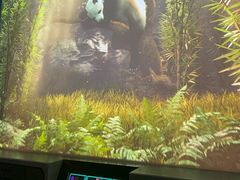 -珠海横琴国家地理探险家中心(创新方)