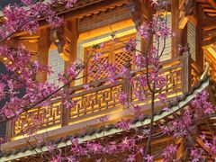 -大佛古寺