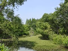 -南湖湿地公园