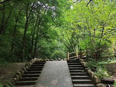 -本溪汤沟绿石谷森林公园