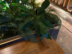 -浅深(北京北四环精品店)