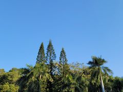 -深圳仙湖植物园