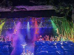 -青岛方特梦幻王国